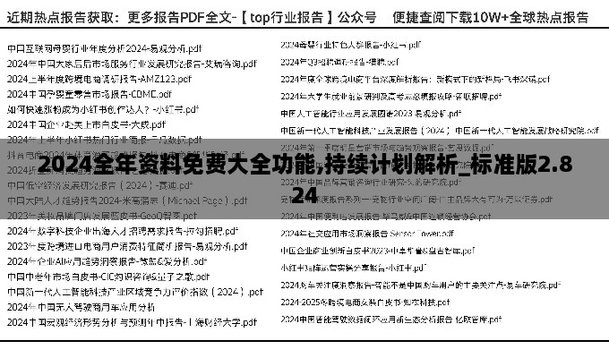 2024全年资料免费大全功能,持续计划解析_标准版2.824