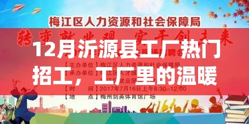 沂源县工厂温暖招工季，友情、梦想与家的纽带，十二月热门招工启幕