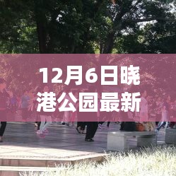 12月6日晓港公园最新，晓港公园探险，12月6日体验指南，初学者也能轻松掌握的技能