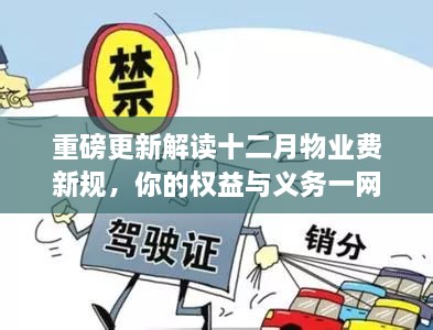 重磅解读，十二月物业费新规详解，业主权益与义务全知道！