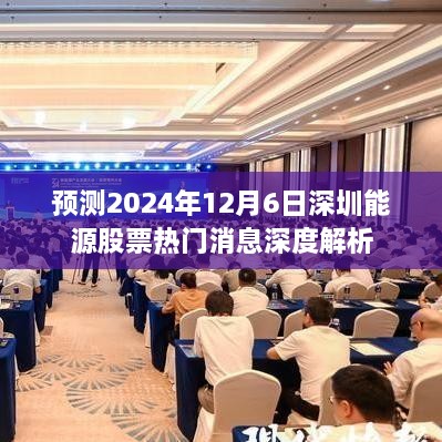 深圳能源股票最新热门消息深度解析，预测至2024年12月6日