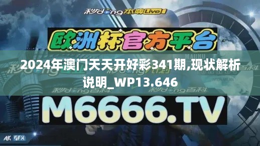 2024年澳门天天开好彩341期,现状解析说明_WP13.646