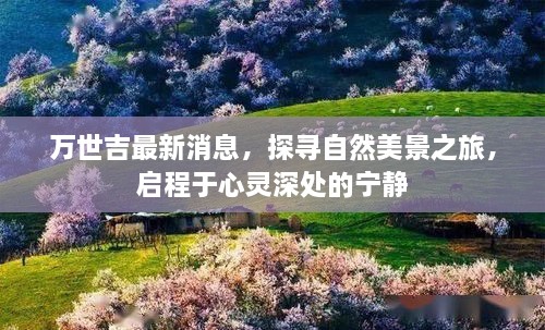 万世吉引领自然美景探寻之旅，心灵深处的宁静启程