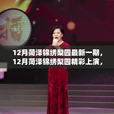 12月菏泽锦绣梨园戏曲盛宴，最新一期精彩上演探索