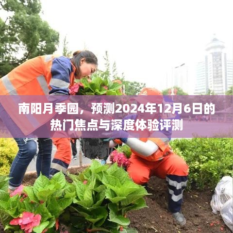 南阳月季园，未来热门焦点与深度体验评测（预计2024年12月6日）