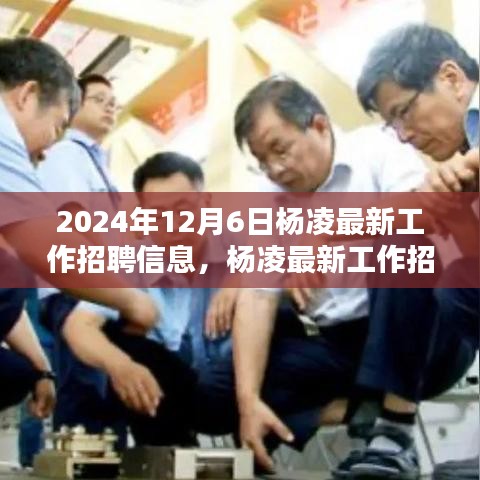 杨凌最新工作招聘信息发布，2024年12月6日一览无余（小红书版）