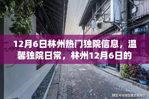 林州独院日常，阳光下的友情交织与温馨居所记录（林州热门独院信息）