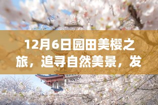 12月6日园田美樱之旅，探寻自然美景，体验心灵宁静与喜悦的旅程