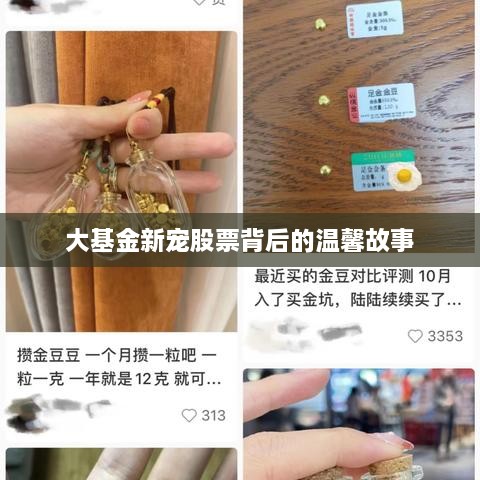 大基金新宠股票背后的故事揭秘