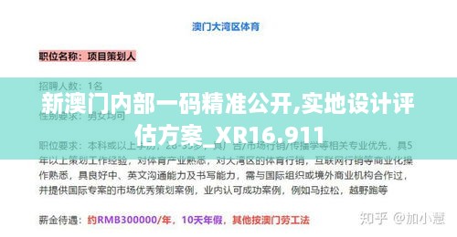 新澳门内部一码精准公开,实地设计评估方案_XR16.911