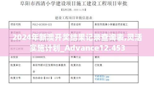 2024年新澳开奖结果记录查询表,灵活实施计划_Advance12.453