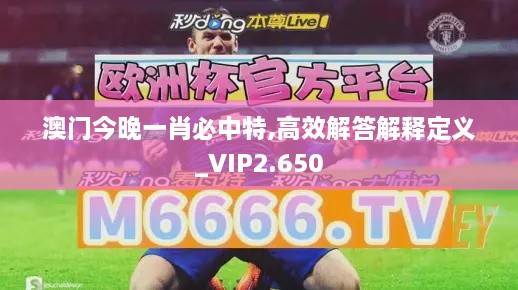 澳门今晚一肖必中特,高效解答解释定义_VIP2.650