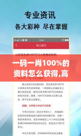 一码一肖100%的资料怎么获得,高速执行响应计划_app8.358