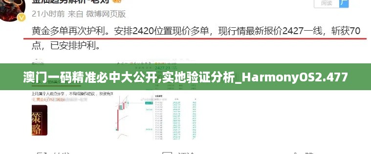 澳门一码精准必中大公开,实地验证分析_HarmonyOS2.477