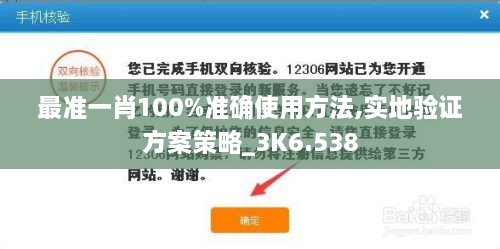 最准一肖100%准确使用方法,实地验证方案策略_3K6.538