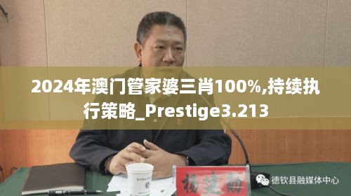 2024年澳门管家婆三肖100%,持续执行策略_Prestige3.213