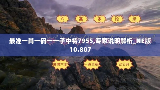 最准一肖一码一一子中特7955,专家说明解析_NE版10.807