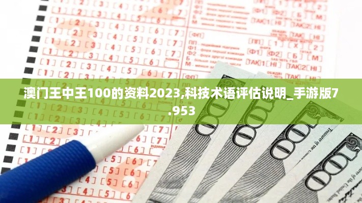 澳门王中王100的资料2023,科技术语评估说明_手游版7.953