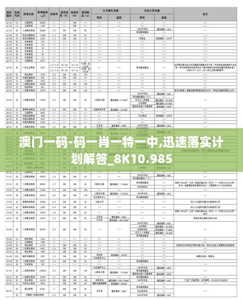 澳门一码-码一肖一特一中,迅速落实计划解答_8K10.985