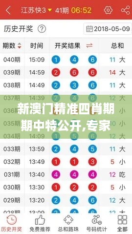 新澳门精准四肖期期中特公开,专家说明解析_app3.902