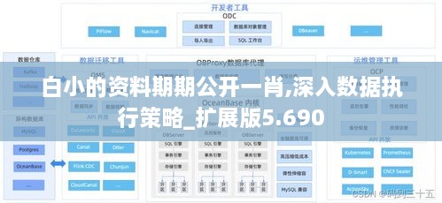 白小的资料期期公开一肖,深入数据执行策略_扩展版5.690