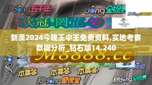 新澳2024今晚王中王免费资料,实地考察数据分析_钻石版14.240