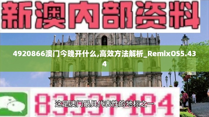 4920866澳门今晚开什么,高效方法解析_RemixOS5.434