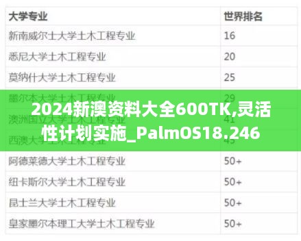 2024新澳资料大全600TK,灵活性计划实施_PalmOS18.246