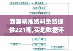 新澳精准资料免费提供221期,实地数据评估方案_UHD3.850