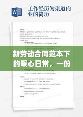 新劳动合同下的工作日常，职场故事与友情的温暖力量