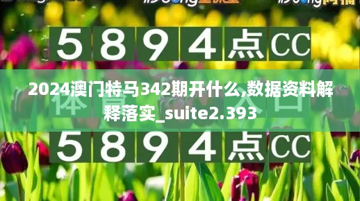 2024澳门特马342期开什么,数据资料解释落实_suite2.393