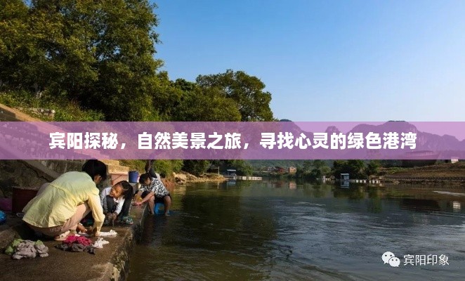 宾阳自然探秘之旅，心灵的绿色港湾寻找记