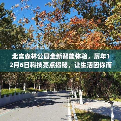 北宫森林公园智能科技揭秘日，历年亮点回顾与未来智能体验