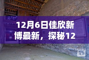 2024年12月8日 第10页