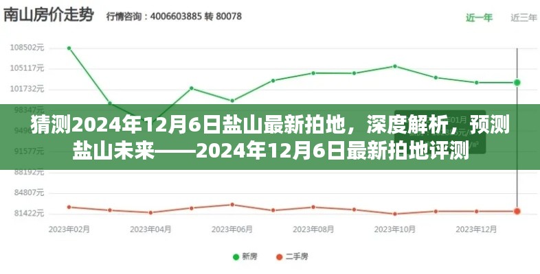 盐山未来展望，深度解析最新拍地预测，展望2024年12月6日的发展蓝图