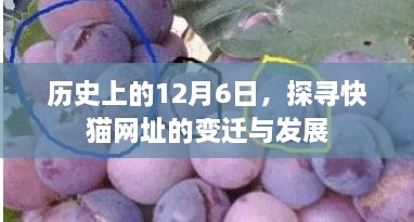 探寻快猫网址变迁与发展，历史上的12月6日回顾