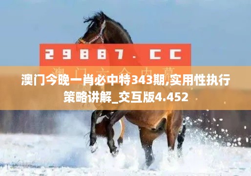 澳门今晚一肖必中特343期,实用性执行策略讲解_交互版4.452