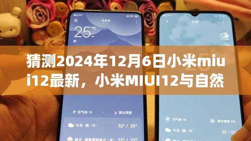 小米MIUI12与自然美景的奇妙之旅，未来惊喜与平静预见（2024年12月6日最新）