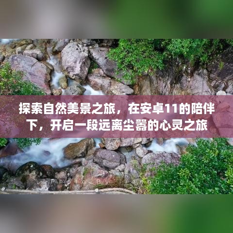 安卓11伴行，自然美景探索与心灵之旅