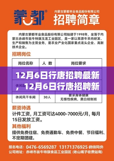 12月6日行唐招聘最新，12月6日行唐招聘新篇章，探索自然美景之旅，寻找内心的平和与宁静