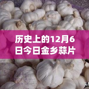 历史上的12月6日金乡蒜片市场最新价格深度解析与价格动态