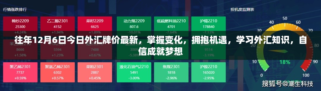 2024年12月9日 第15页