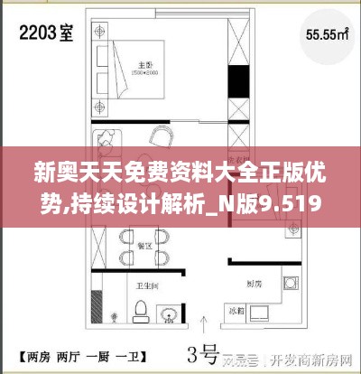 新奥天天免费资料大全正版优势,持续设计解析_N版9.519