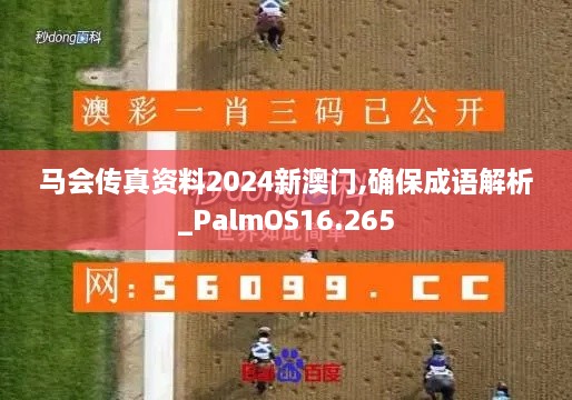 马会传真资料2024新澳门,确保成语解析_PalmOS16.265