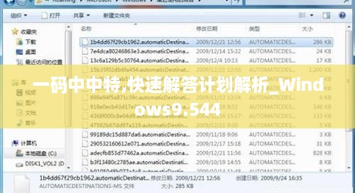 一码中中特,快速解答计划解析_Windows9.544