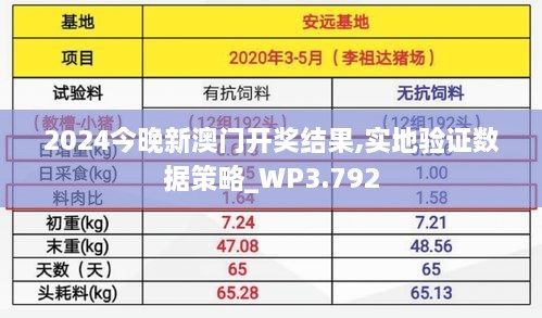 2024今晚新澳门开奖结果,实地验证数据策略_WP3.792