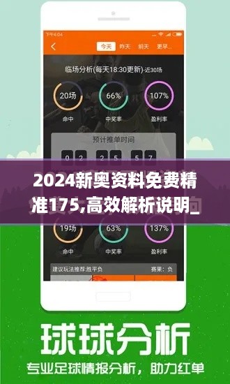 2024新奥资料免费精准175,高效解析说明_Essential6.462