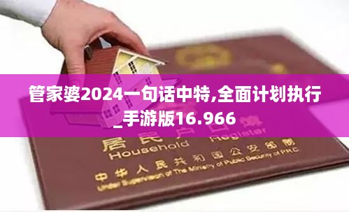 管家婆2024一句话中特,全面计划执行_手游版16.966