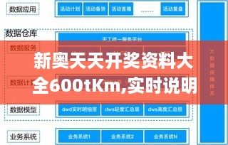 新奥天天开奖资料大全600tKm,实时说明解析_免费版11.765