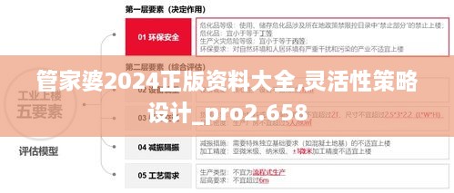 管家婆2024正版资料大全,灵活性策略设计_pro2.658